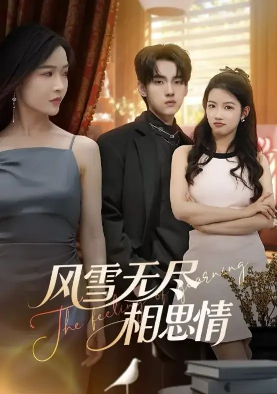 《风雪无尽相思情》相关资源图片