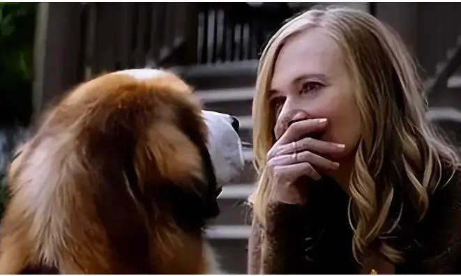 《女人与狗》相关资源图片