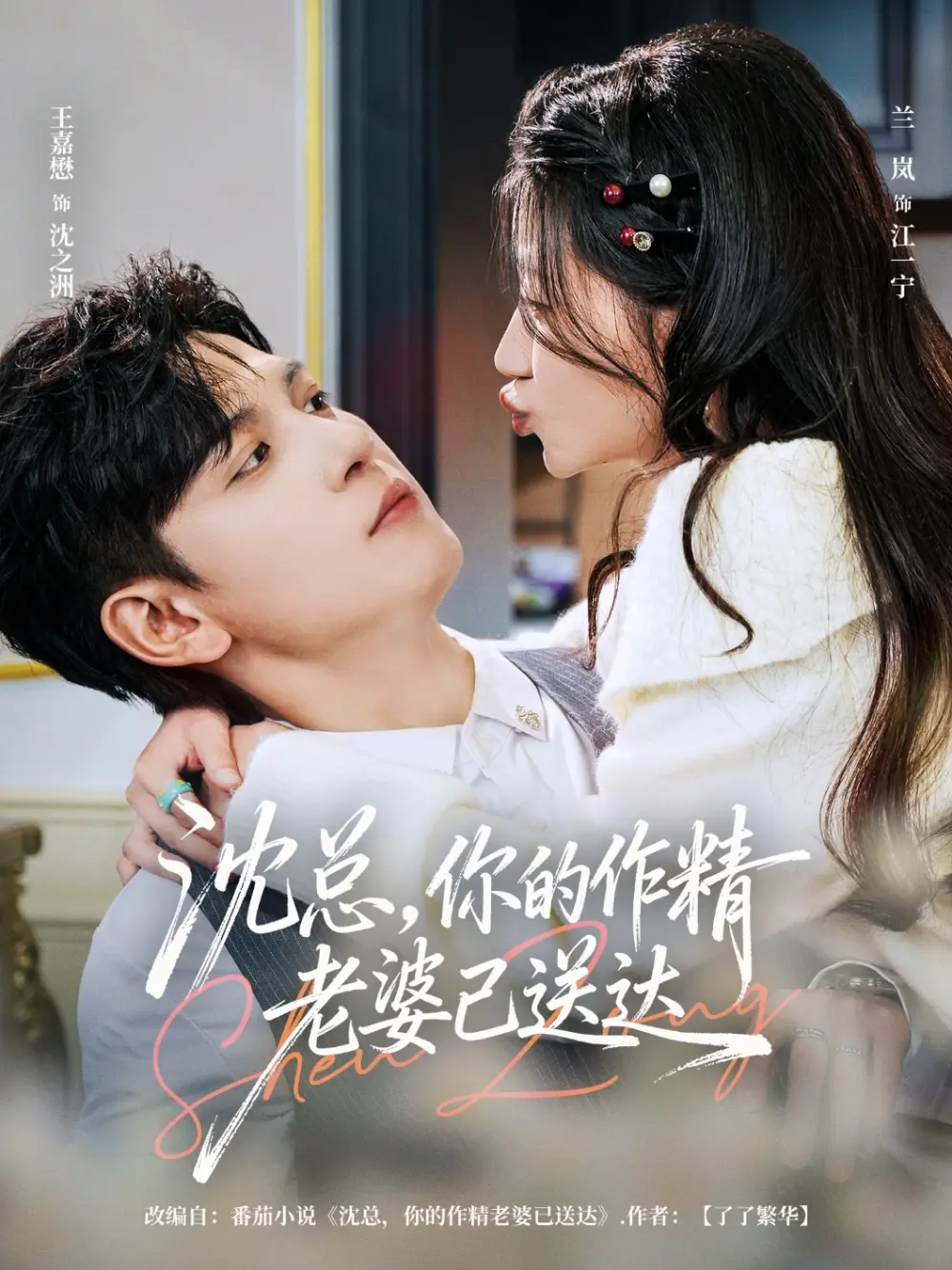 《沈总，你的作精老婆已送达》相关资源图片