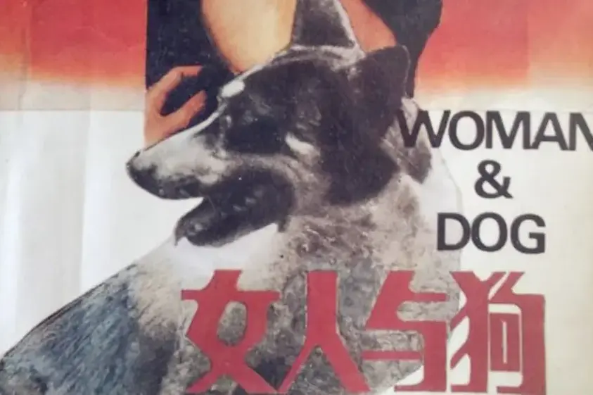 《女人与狗》相关资源图片