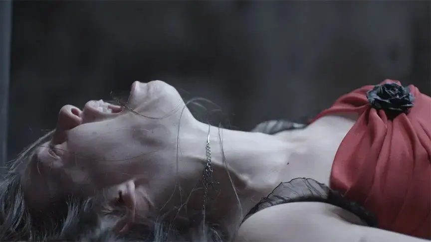 《我在缅北开火车》相关资源图片