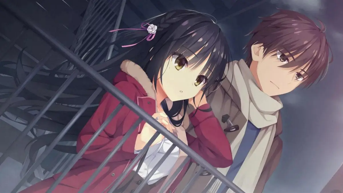 《夏与箱》相关资源图片