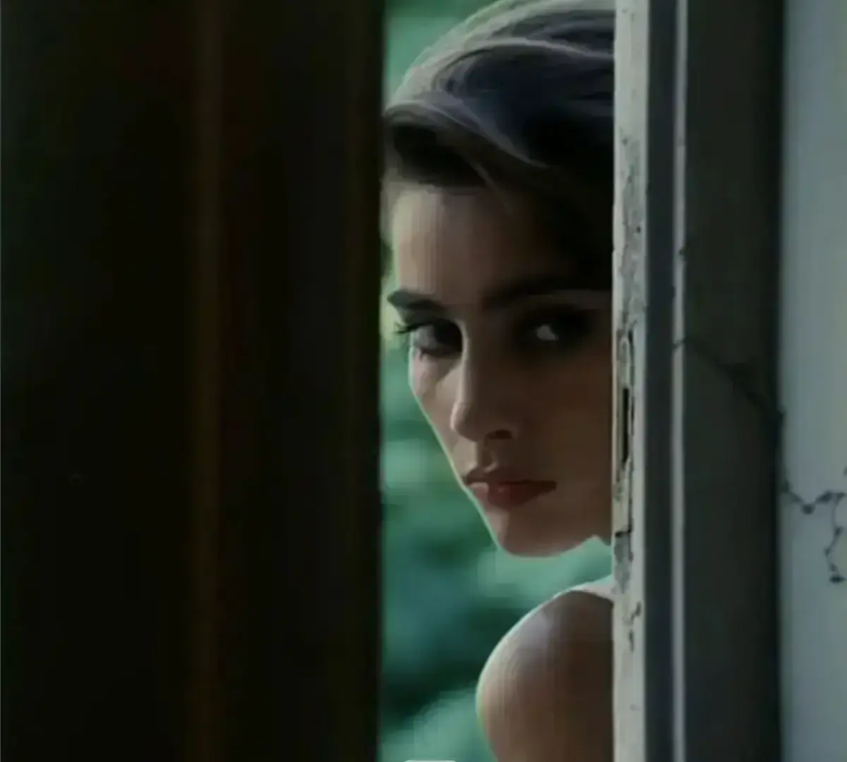 《激情丛林》相关资源图片