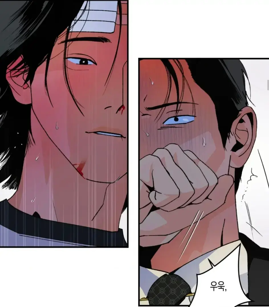 《主的和平/和平主义》相关资源图片