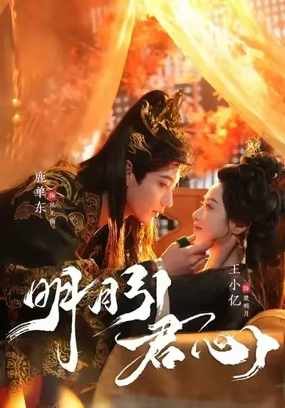 《明月引君心》相关资源图片