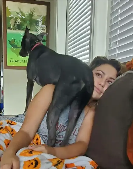 《女人与狗》相关资源图片